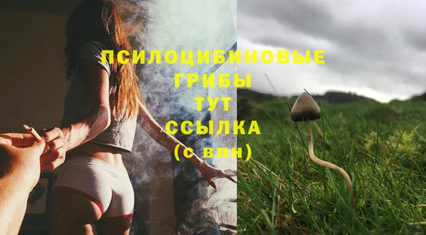 ПСИЛОЦИБИНОВЫЕ ГРИБЫ Абдулино