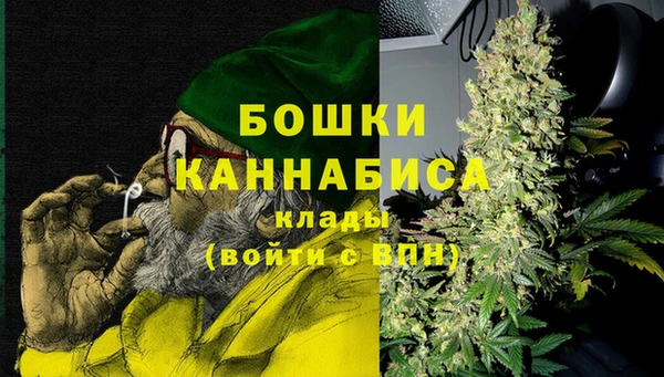 ПСИЛОЦИБИНОВЫЕ ГРИБЫ Абдулино