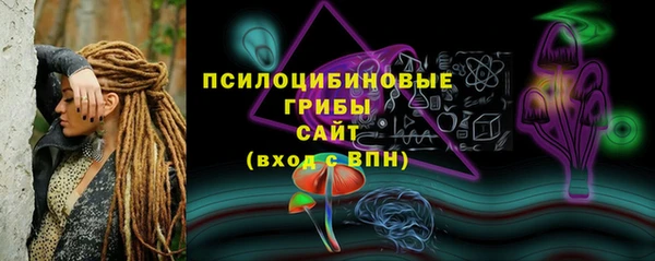 ПСИЛОЦИБИНОВЫЕ ГРИБЫ Абдулино